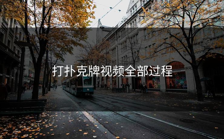 打扑克牌视频全部过程